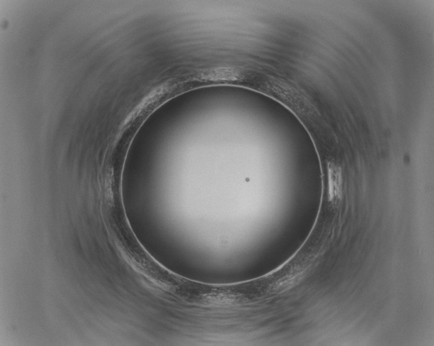 X0000061730300200512091552