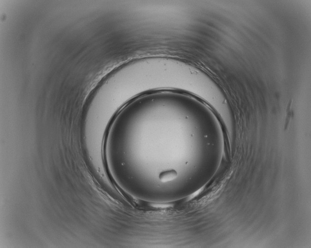 X0000061730301200512091552