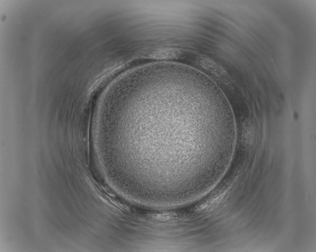 X0000061730303200512091552