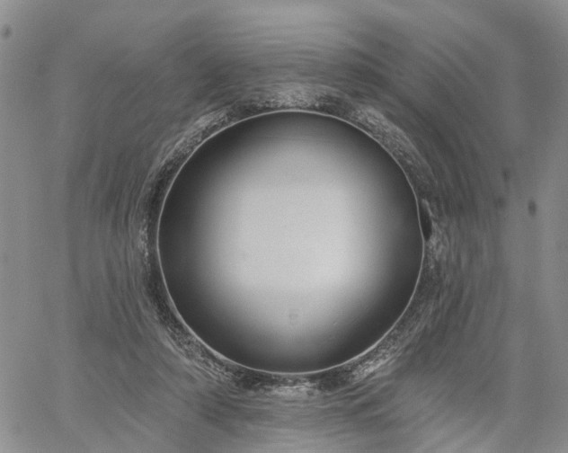 X0000061730306200512091552