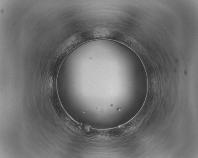 X0000061730308200512091552