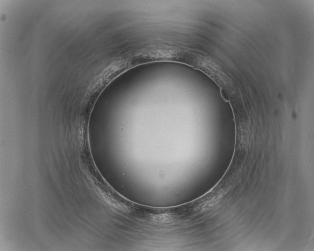 X0000061730309200512091552