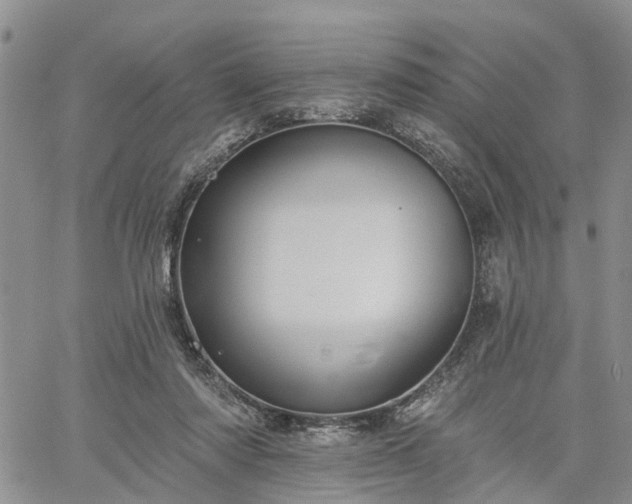 X0000061730310200512091552