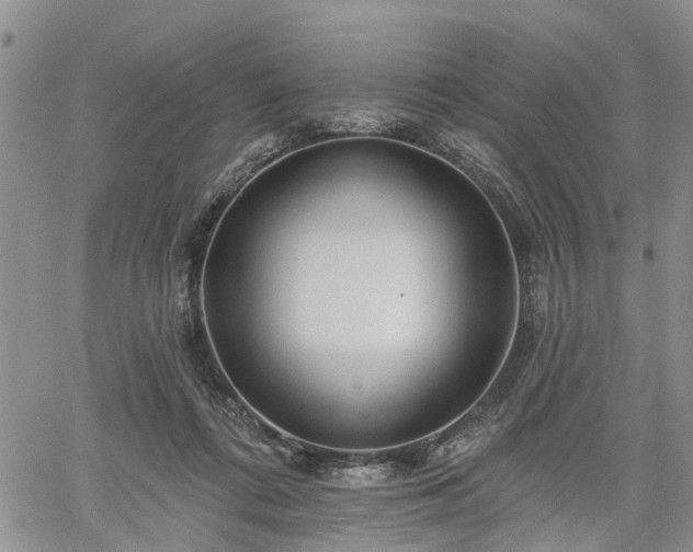 X0000061730312200512091552