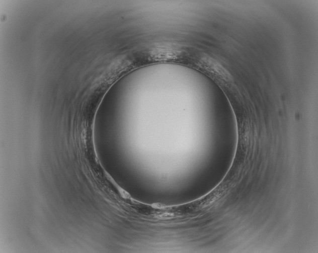 X0000061730315200512091552