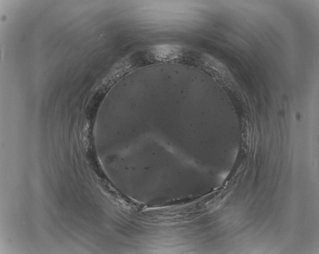 X0000061730319200512091551