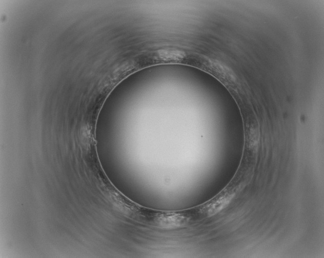 X0000061730321200512091551