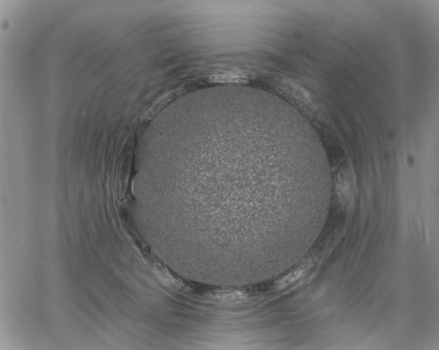 X0000061730322200512091551