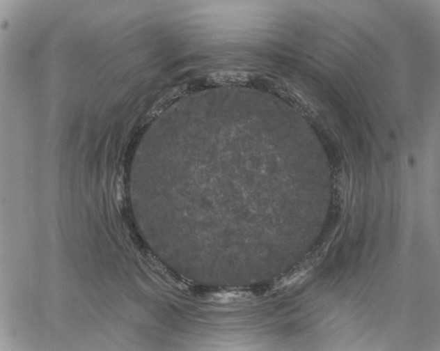 X0000061730323200512091551