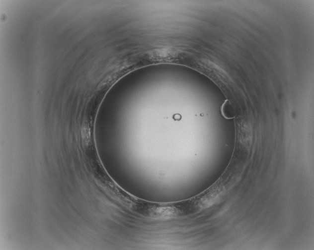 X0000061730324200512091551