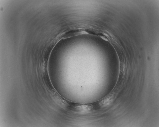 X0000061730326200512091551