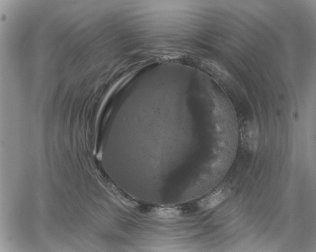 X0000061730327200512091551