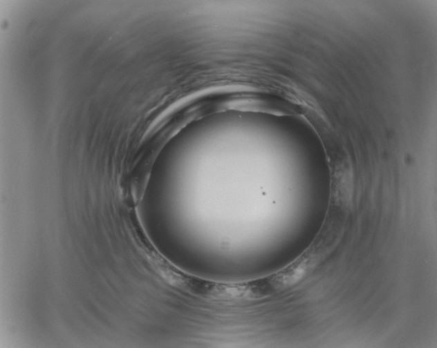 X0000061730329200512091551