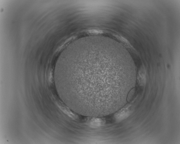 X0000061730330200512091551