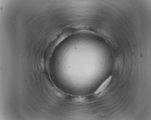 X0000061730335200512091551