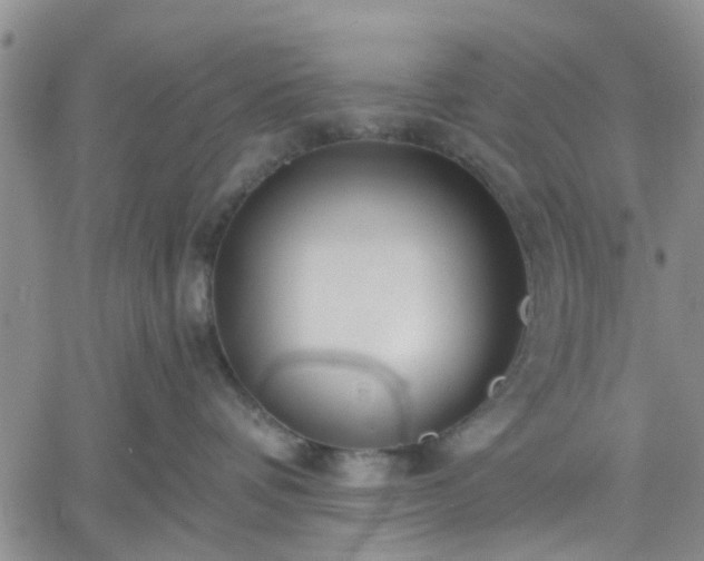 X0000061730336200512091551