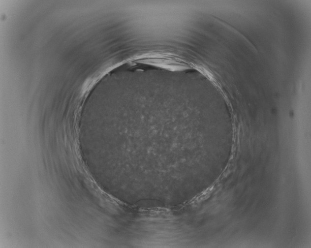 X0000061730337200512091550