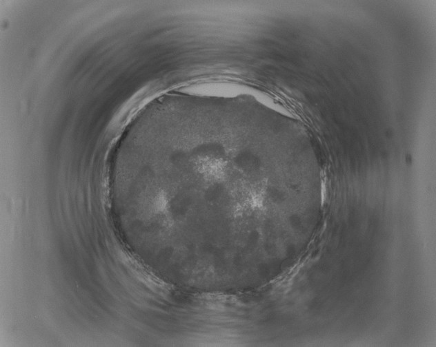 X0000061730339200512091550