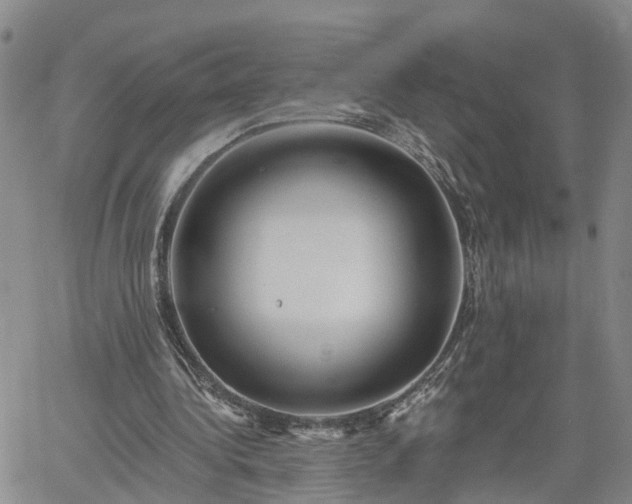 X0000061730340200512091550