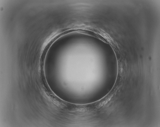 X0000061730344200512091551