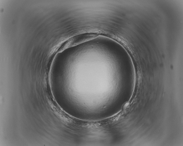 X0000061730345200512091551