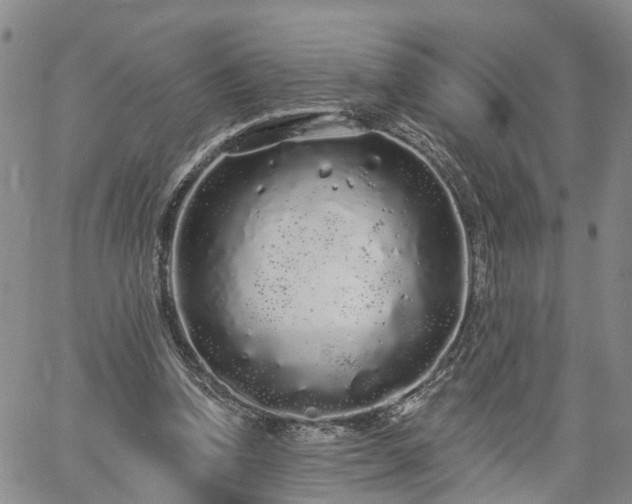 X0000061730346200512091551