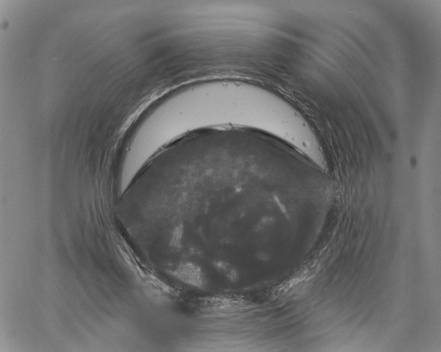 X0000061730347200512091551