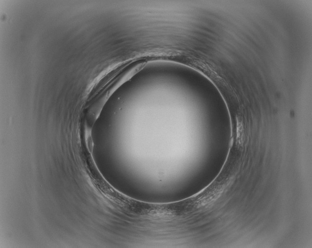 X0000061730348200512091551