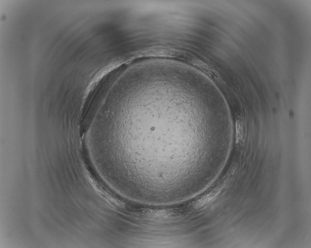 X0000061730349200512091551