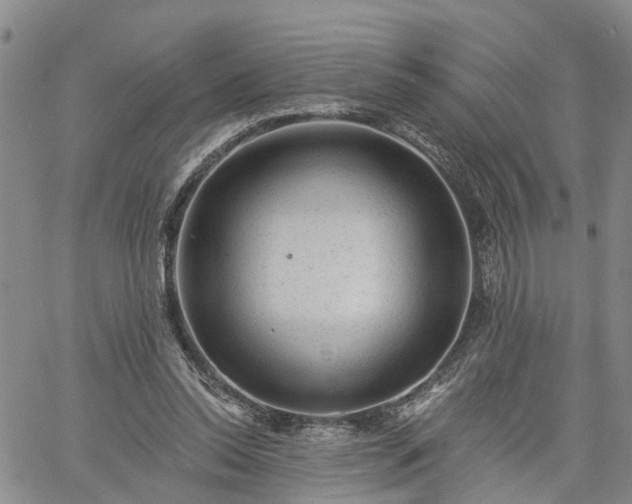 X0000061730350200512091551