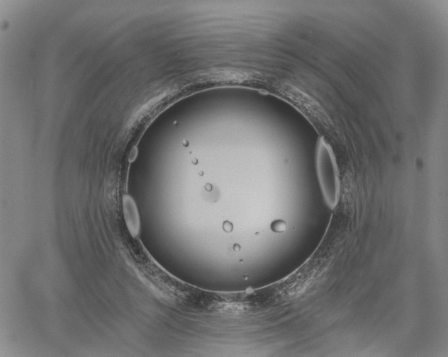 X0000061730352200512091551