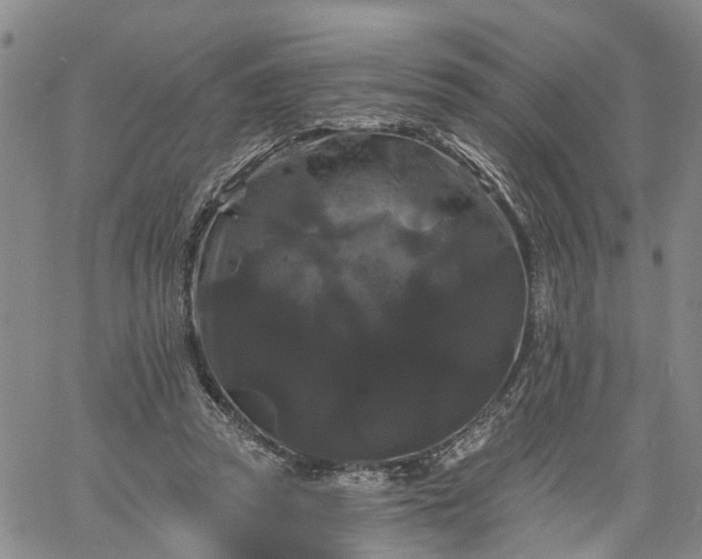 X0000061730353200512091551