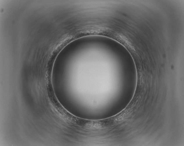 X0000061730354200512091551