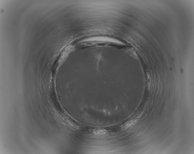 X0000061730355200512091551