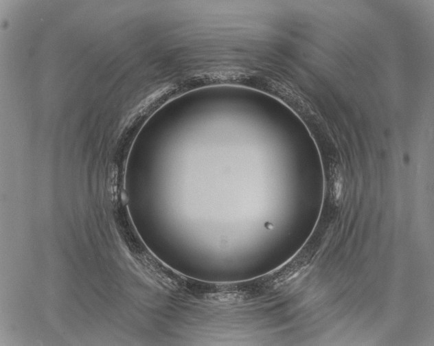 X0000061730356200512091551