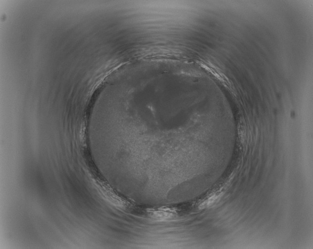 X0000061730359200512091551