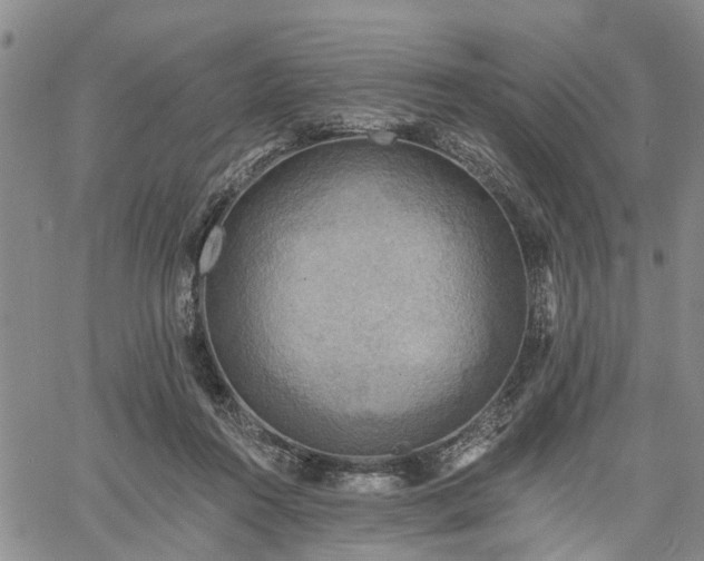 X0000061730360200512091551