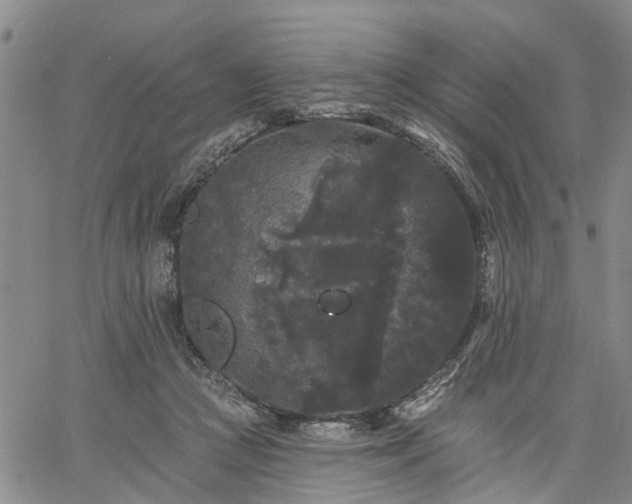 X0000061730361200512091551