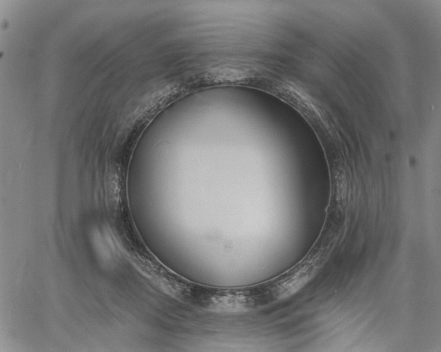 X0000061730362200512091551