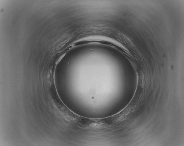 X0000061730364200512091551