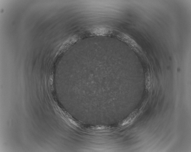 X0000061730365200512091551