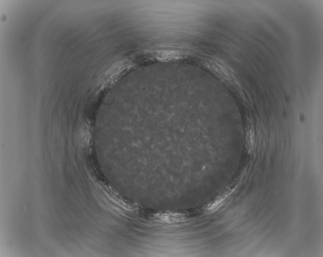 X0000061730367200512091551