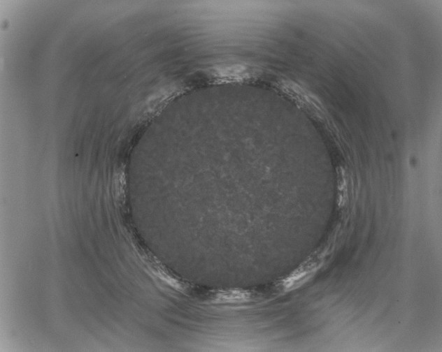 X0000061730369200512091551