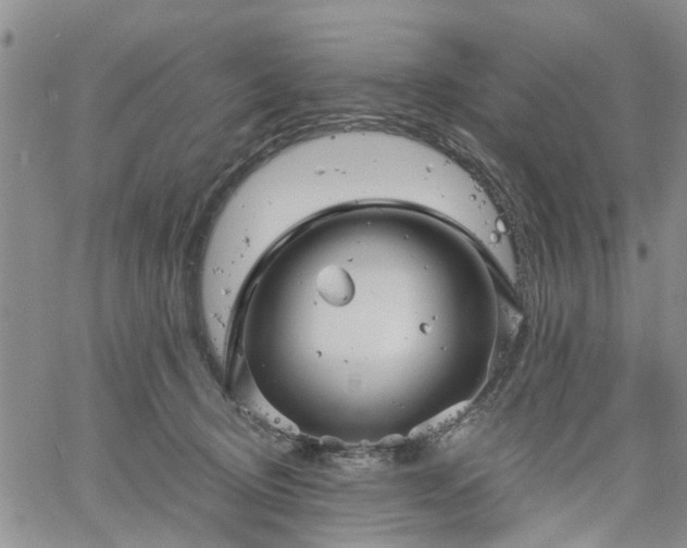 X0000061730370200512091551