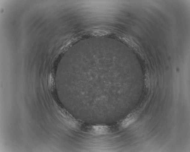 X0000061730371200512091551