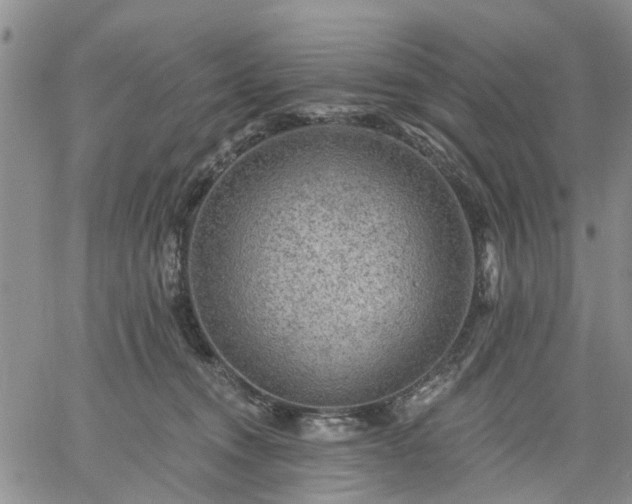 X0000061730372200512091551