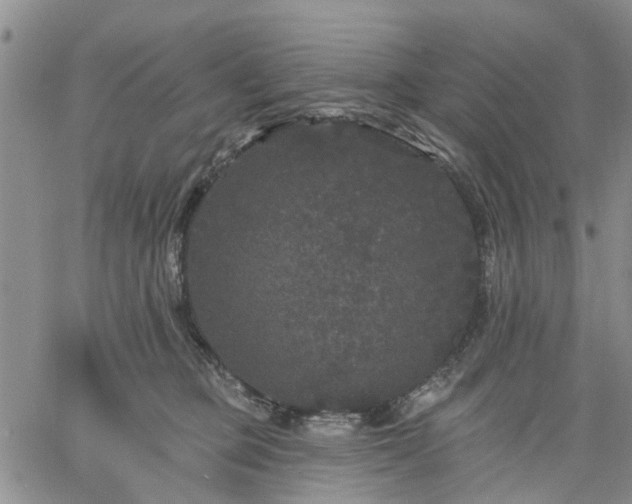 X0000061730373200512091551