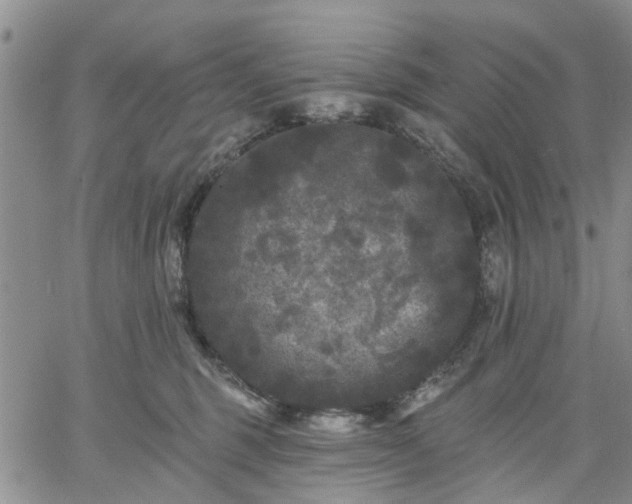 X0000061730375200512091551