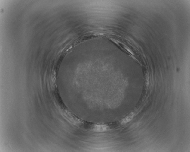 X0000061730376200512091551