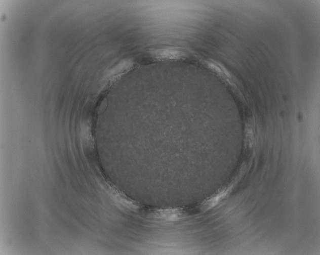 X0000061730377200512091551